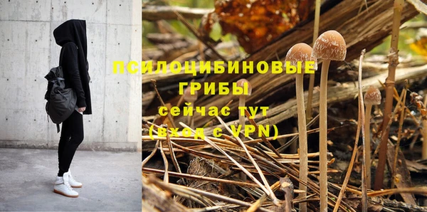 мдпв Ачинск