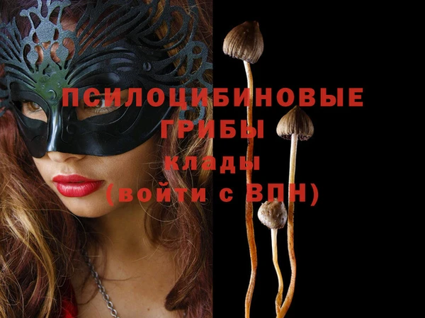 мдпв Ачинск