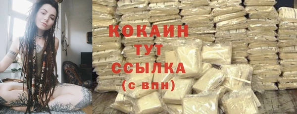 мдпв Ачинск