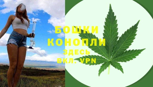 мдпв Ачинск