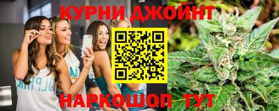 шишки Абакан