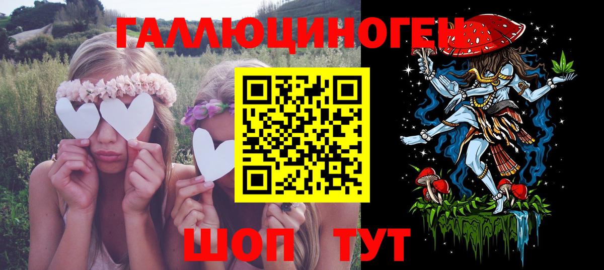 Апатиты  Галлюциногенные грибы Psilocybine cubensis  Вход с VPN 
