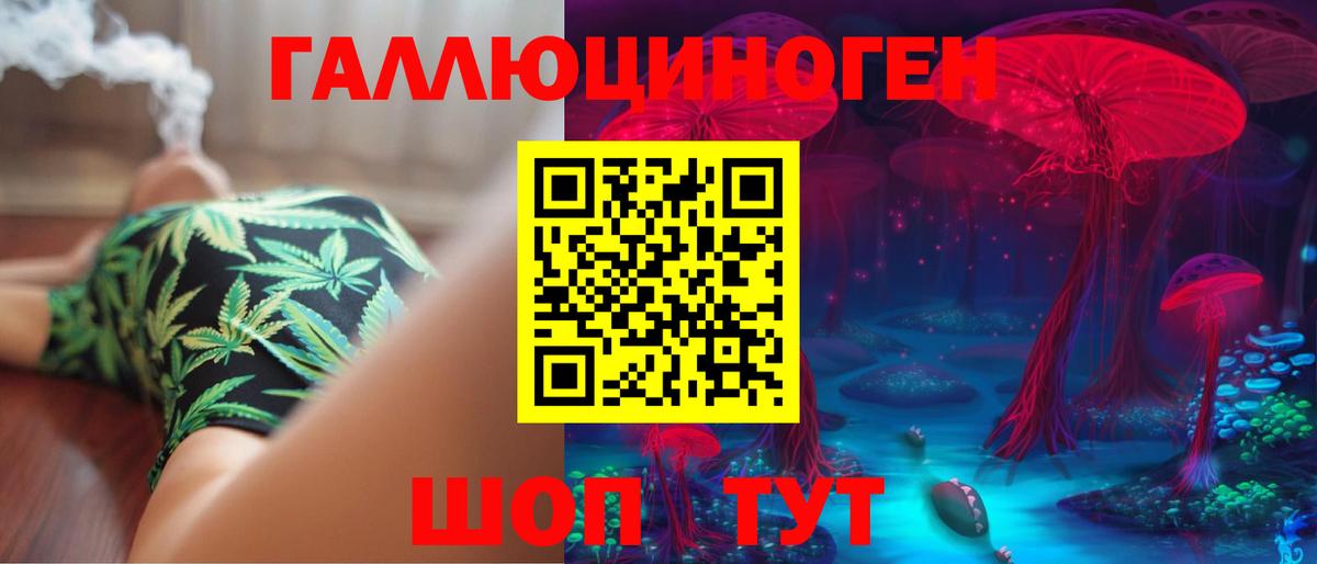 Галлюциногенные грибы прущие грибы Апатиты