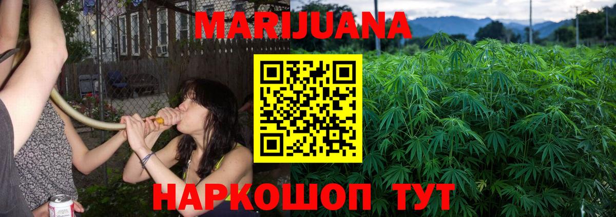 Канабис THC 21%  Апатиты  Каннабис сатива  Марихуана план 