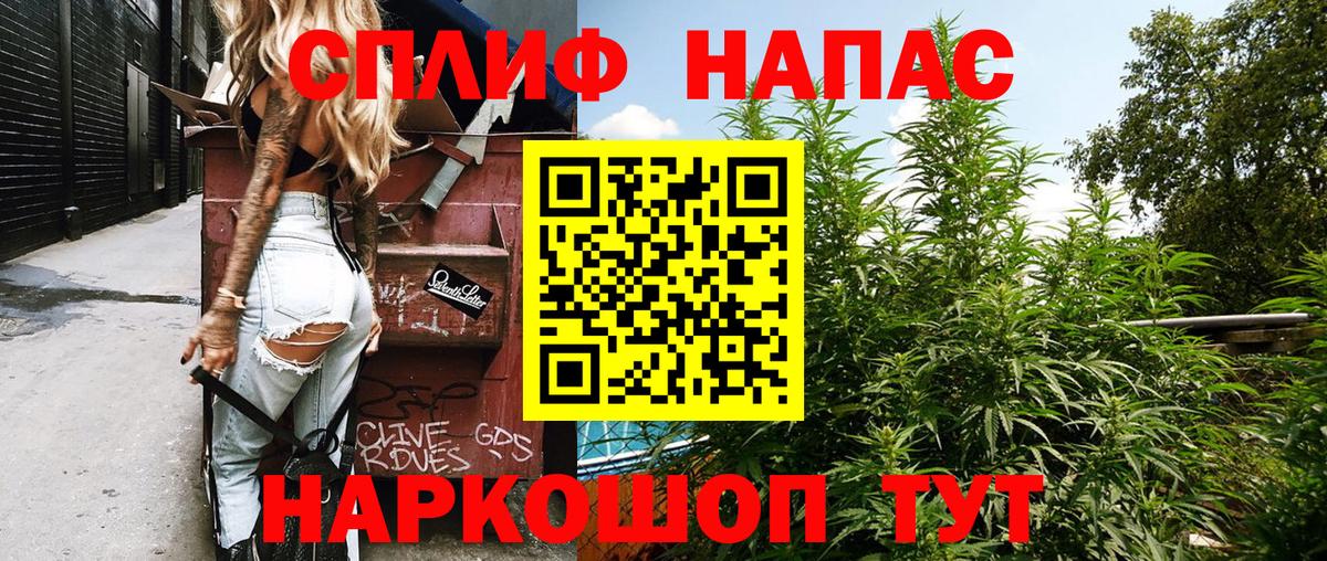 Канабис OG Kush Апатиты